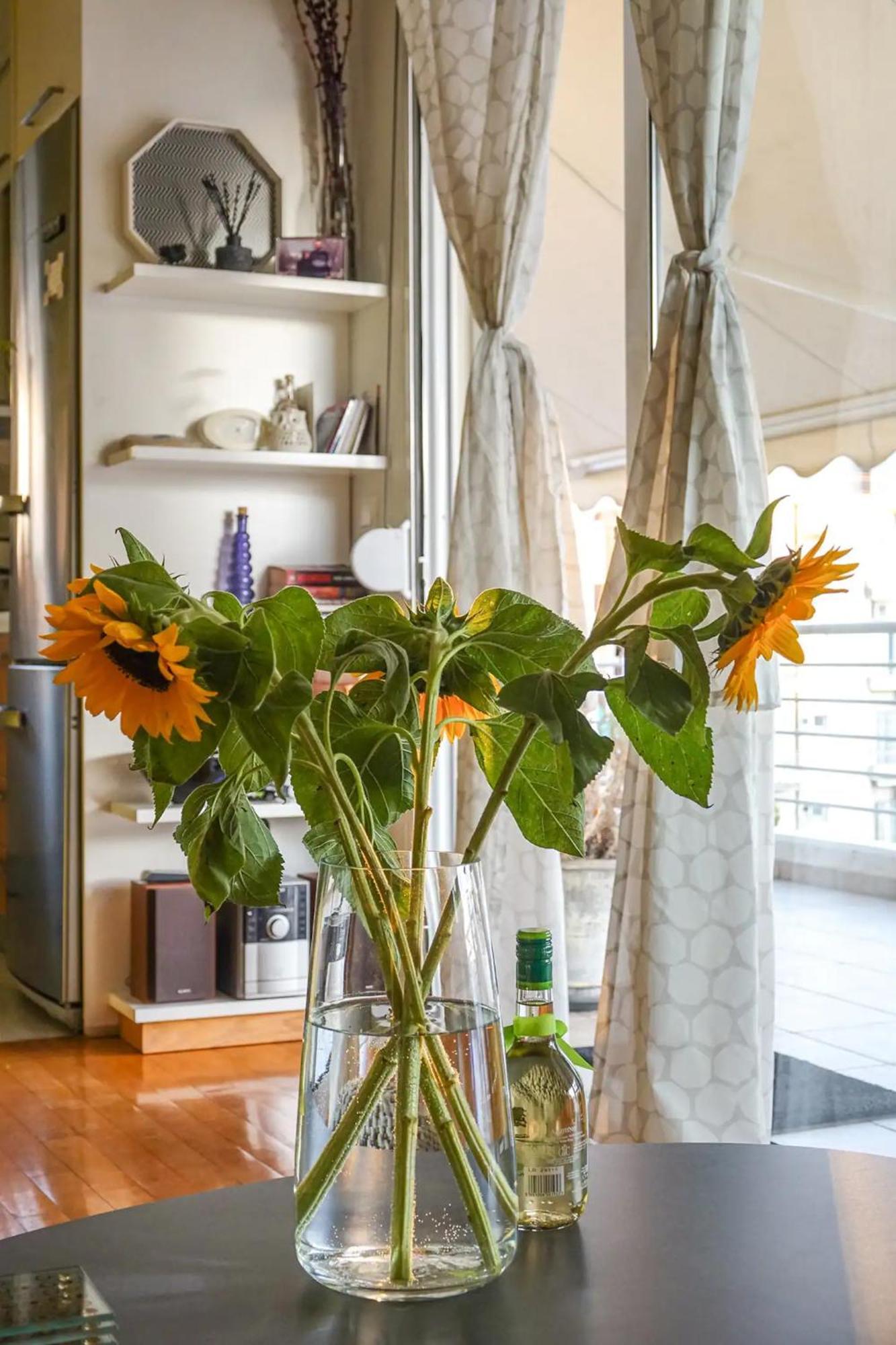 Skyview Penthouse / Central Αθήνα Εξωτερικό φωτογραφία